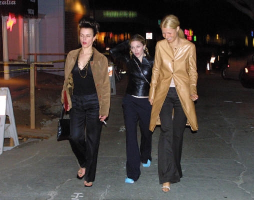 Gwyneth Paltrow pic #926665