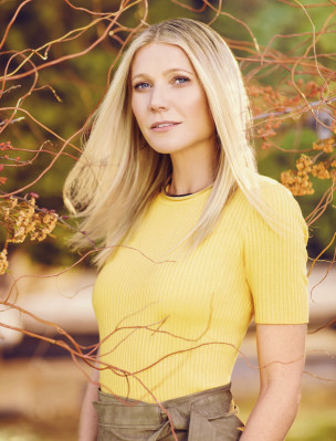 Gwyneth Paltrow pic #921880