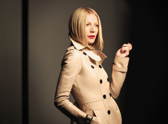Gwyneth Paltrow pic #907766