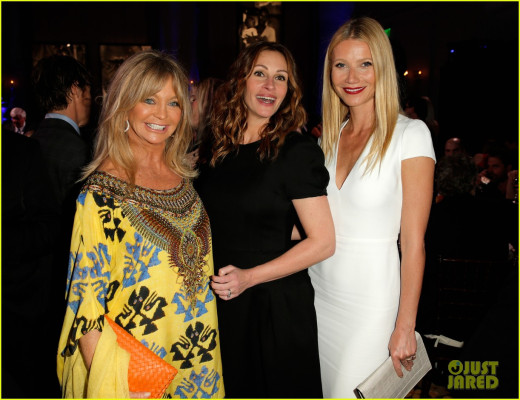 Gwyneth Paltrow pic #928634