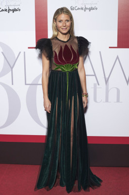 Gwyneth Paltrow pic #923288