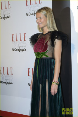 Gwyneth Paltrow pic #922318