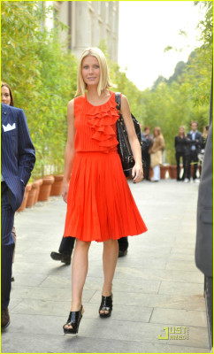 Gwyneth Paltrow pic #920734