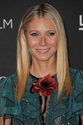 Gwyneth Paltrow pic #844066