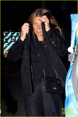 Gwyneth Paltrow pic #960551
