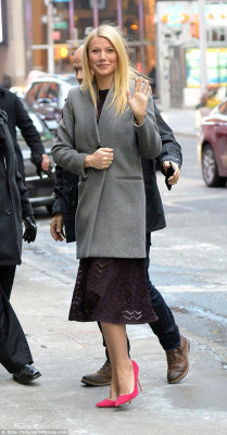 Gwyneth Paltrow pic #787788
