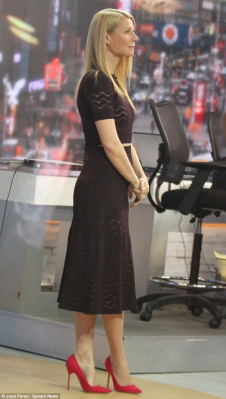 Gwyneth Paltrow pic #787790