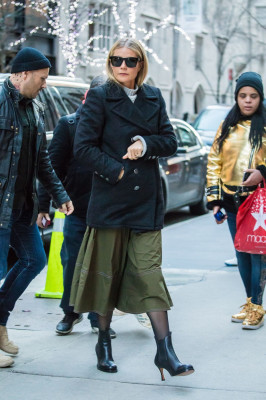Gwyneth Paltrow pic #1035998