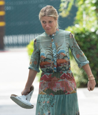 Gwyneth Paltrow pic #980688