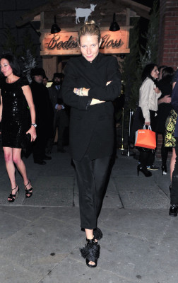 Gwyneth Paltrow pic #629580