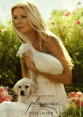 Gwyneth Paltrow pic #219282