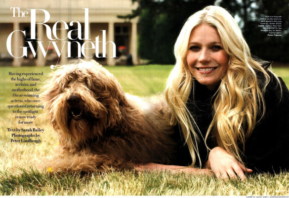 Gwyneth Paltrow pic #195886