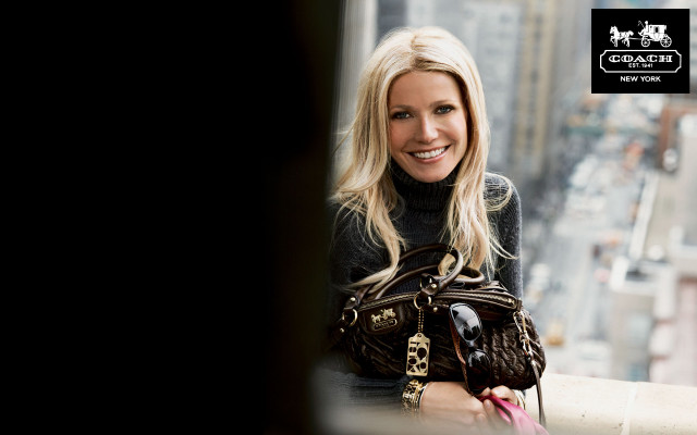 Gwyneth Paltrow pic #653648