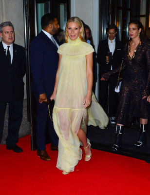 Gwyneth Paltrow pic #1169938