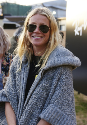 Gwyneth Paltrow pic #815622