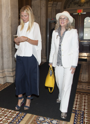 Gwyneth Paltrow pic #823096