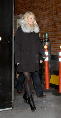 Gwyneth Paltrow pic #339898