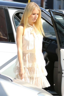 Gwyneth Paltrow pic #845774