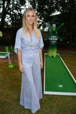 Gwyneth Paltrow pic #894074