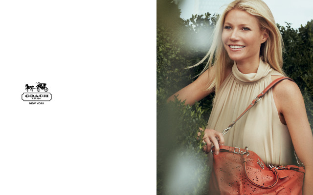 Gwyneth Paltrow pic #653650