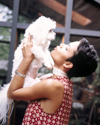 Halle Berry pic #493961