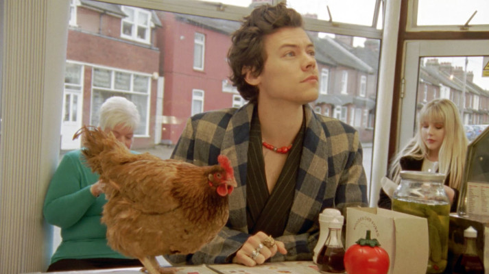 Harry Styles Gucci