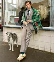 Harry Styles Gucci