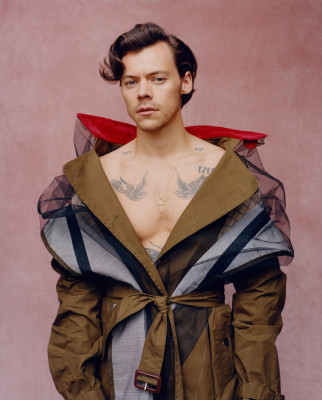 Harry Styles by Tyler Mitchell for Vogue // December 2020