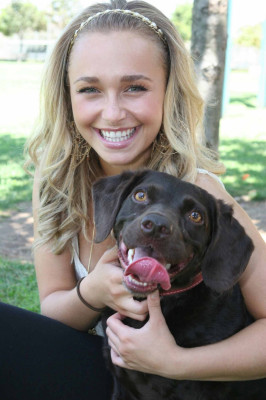 Hayden Panettiere  pic #550385