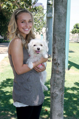 Hayden Panettiere  pic #550387