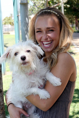 Hayden Panettiere  pic #564597