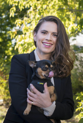 Hayley Atwell