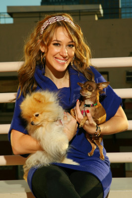 Haylie Duff pic #240401
