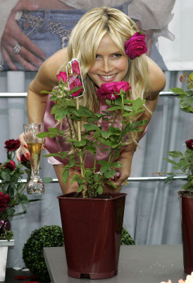 photo 21 in Heidi Klum gallery [id32033] -0001-11-30 00:00:00