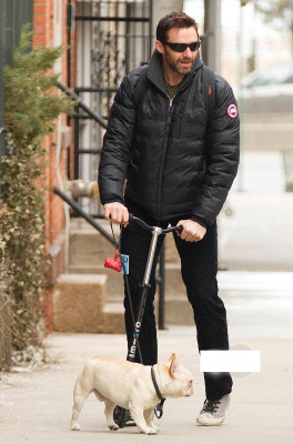 Hugh Jackman pic #710705