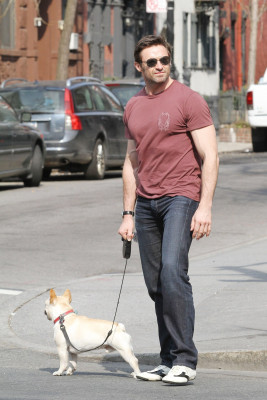 Hugh Jackman pic #721959