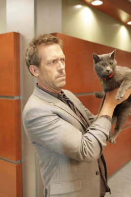 Hugh Laurie pic #254787