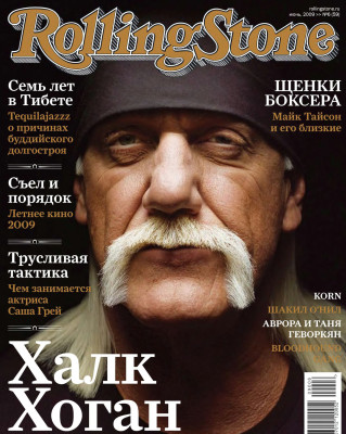 Hulk Hogan pic #293866