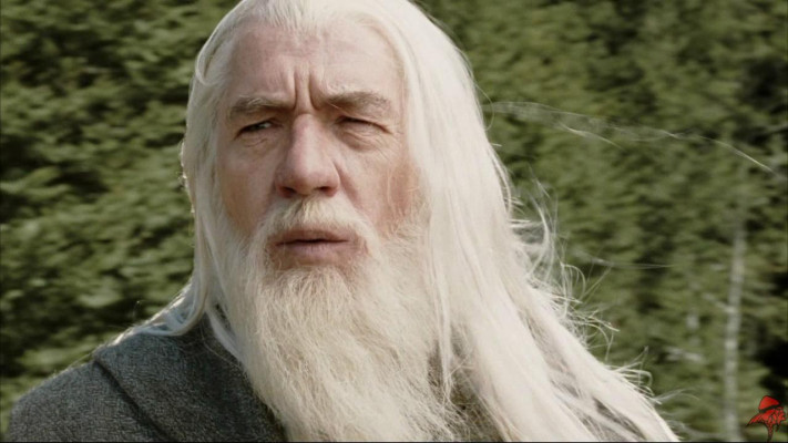 photo 29 in McKellen gallery [id189223] 2009-09-22 00:00:00