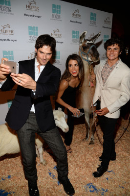 photo 7 in Ian Somerhalder gallery [id838114] 2015-10-20 00:00:00