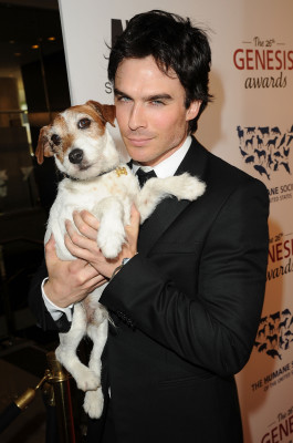 Ian Somerhalder pic #486504