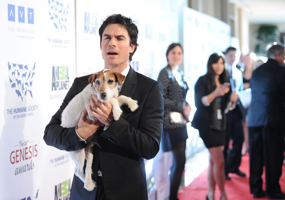 Ian Somerhalder pic #486500