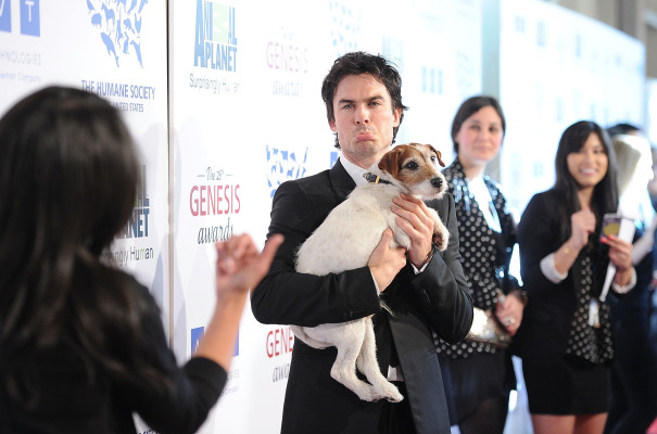 Ian Somerhalder pic #486501