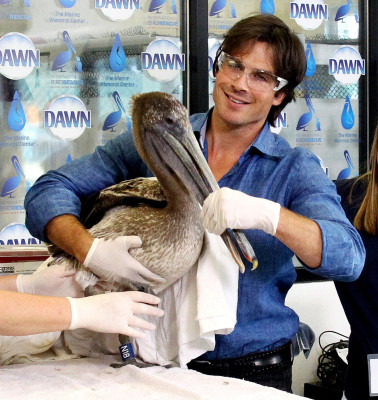 Ian Somerhalder pic #838170