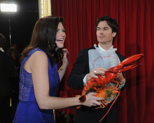 Ian Somerhalder pic #599187