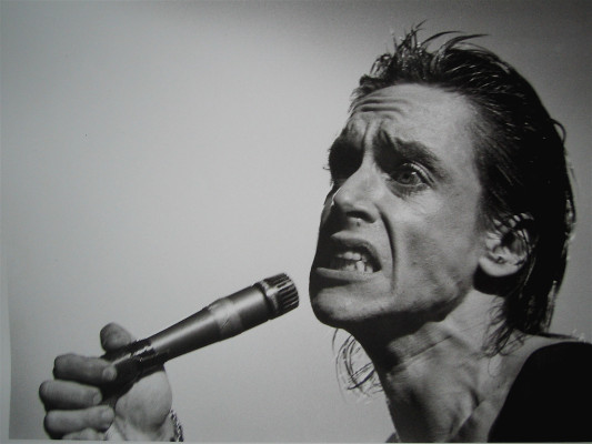 Iggy Pop pic #199605