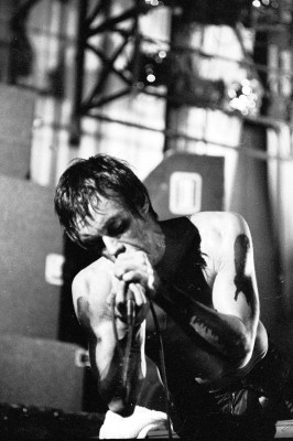 photo 10 in Iggy Pop gallery [id96326] 2008-06-09 00:00:00