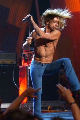 photo 29 in Iggy Pop gallery [id96337] 2008-06-09 00:00:00
