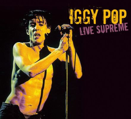 photo 25 in Iggy Pop gallery [id96341] 2008-06-09 00:00:00