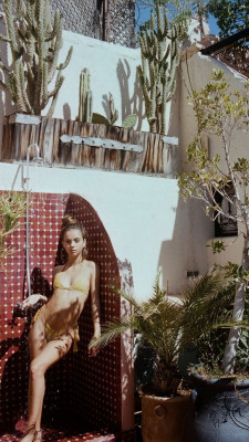 Inka Williams pic #1128512